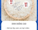 GẠO ONG BIỂN(5kg)