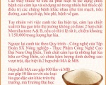 TINH CHẤT MÀNG GẠO ONG BIỂN