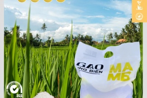 Sản phẩm gạo Ong Biển